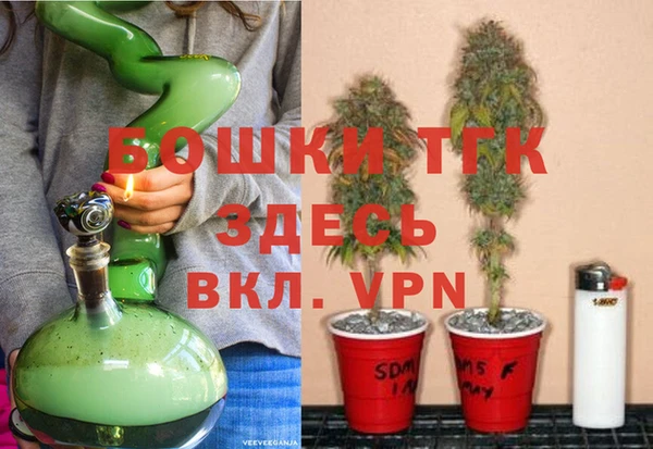 соль ск Кулебаки
