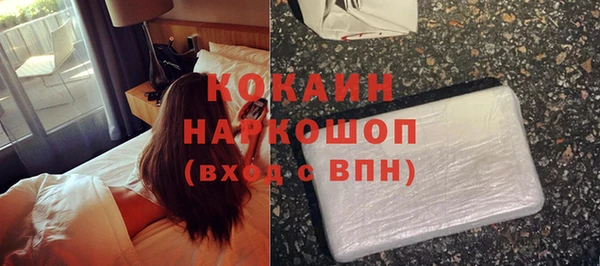 соль ск Кулебаки