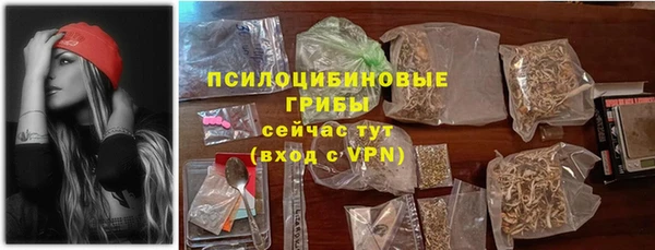 соль ск Кулебаки