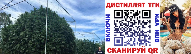 ТГК гашишное масло Купить закладки Волжск