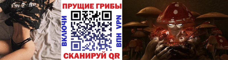 Купить закладки  Волжск  Псилоцибиновые грибы Psilocybe 
